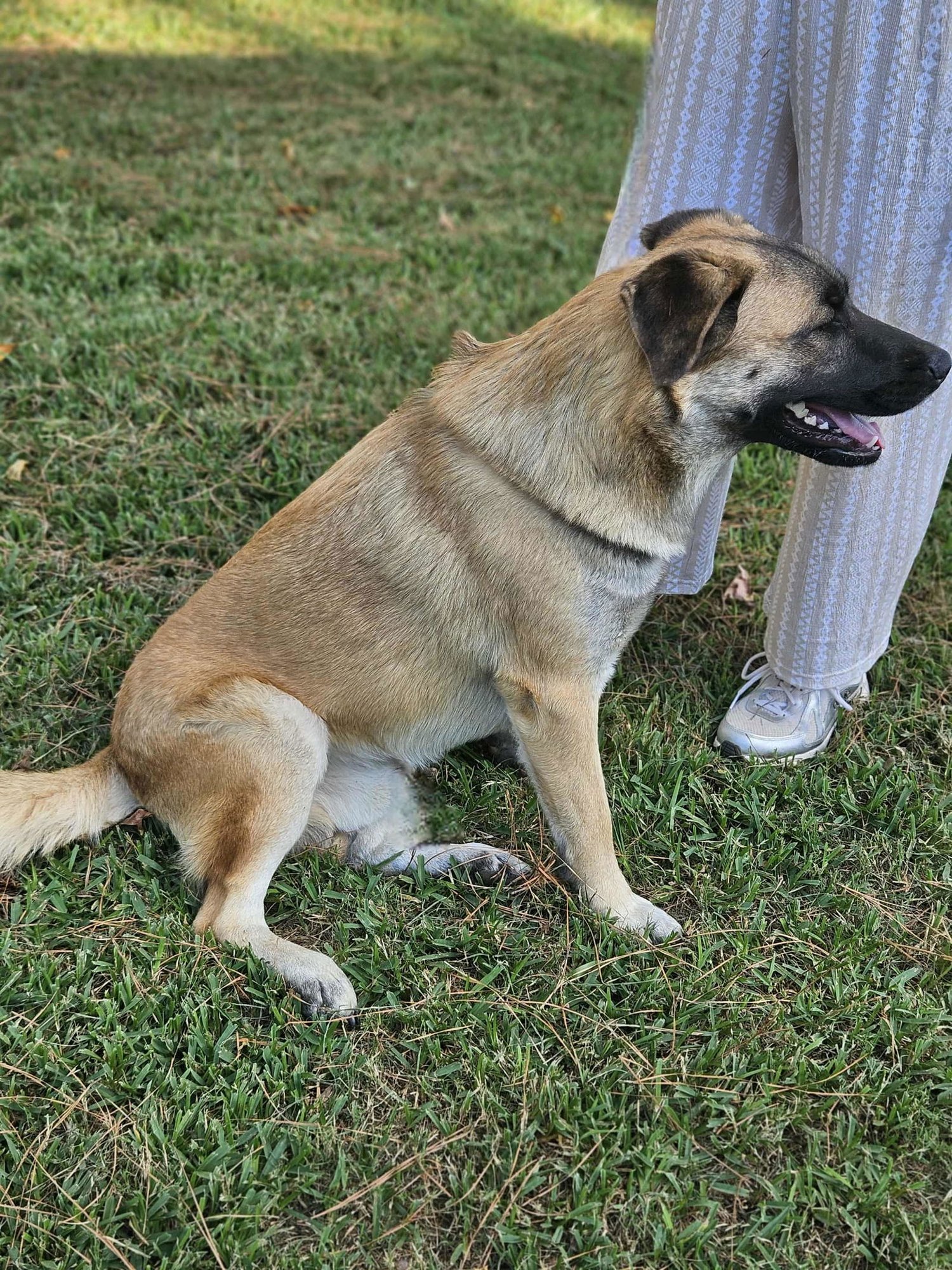 Brewski  *LOCAL* - Photo 10