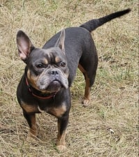 Gigi - Photo 2