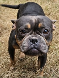 Gigi - Photo 1