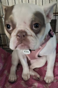Aubrey - Photo 7