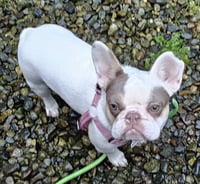 Aubrey - Photo 5