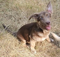 Libby - Photo 1