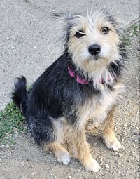 Cheri - Photo 4
