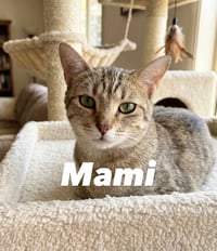 Mami - Photo 1