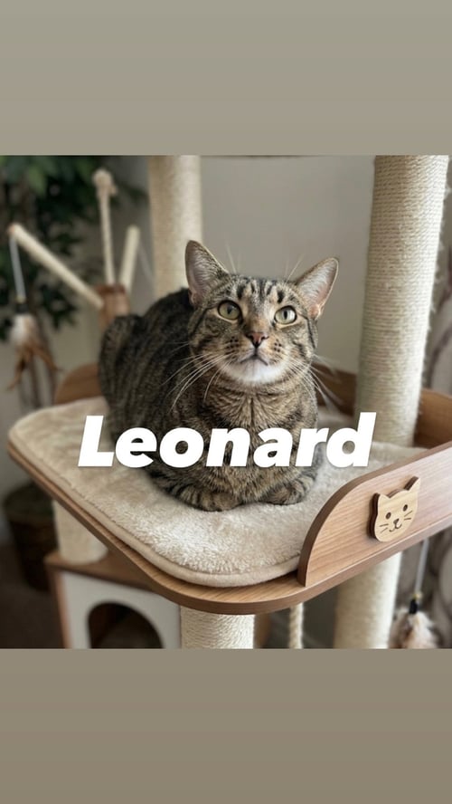 LEONARD
