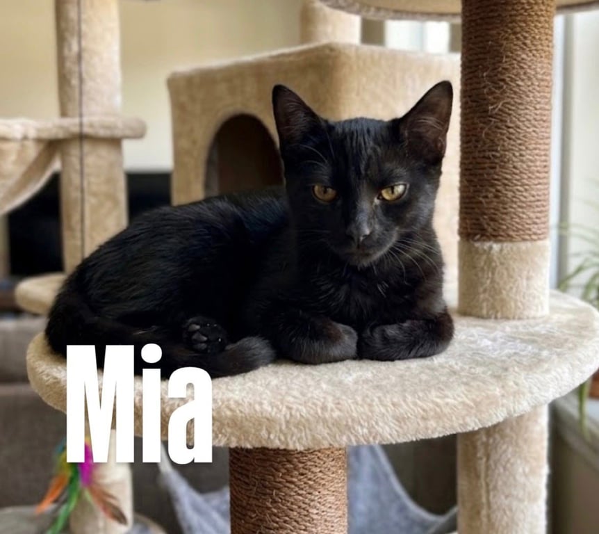 Mia Image