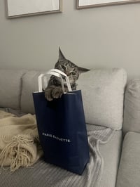 Pepper - Photo 5