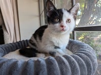 Delilah - Photo 1