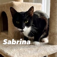 Sabrina - Photo 3
