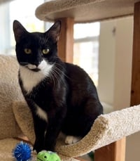 Sabrina - Photo 5