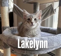 Lakelyn - Photo 1