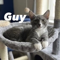 Guy - Photo 1