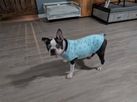 Betsy - Photo 4