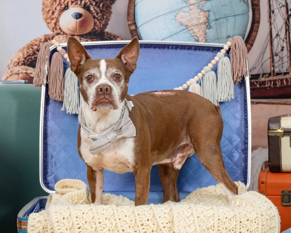 Sir Charles Image