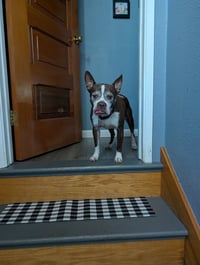 Sir Charles - Photo 2
