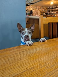Sir Charles - Photo 3