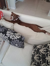 Bella - Photo 2