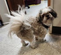 SHERMAN - Photo 1