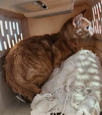 WALLY - Photo 1