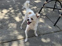 QTIP - Photo 1