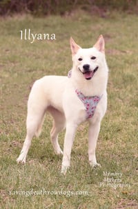 Illyana - Photo 1