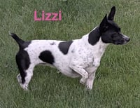 Lizzi - Photo 1