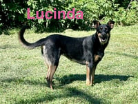 Lucinda - Photo 1