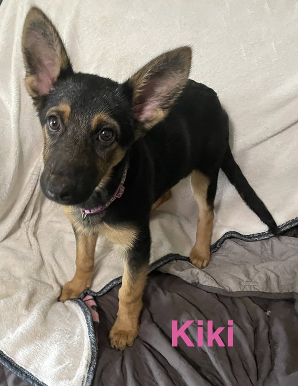 Kiki Image