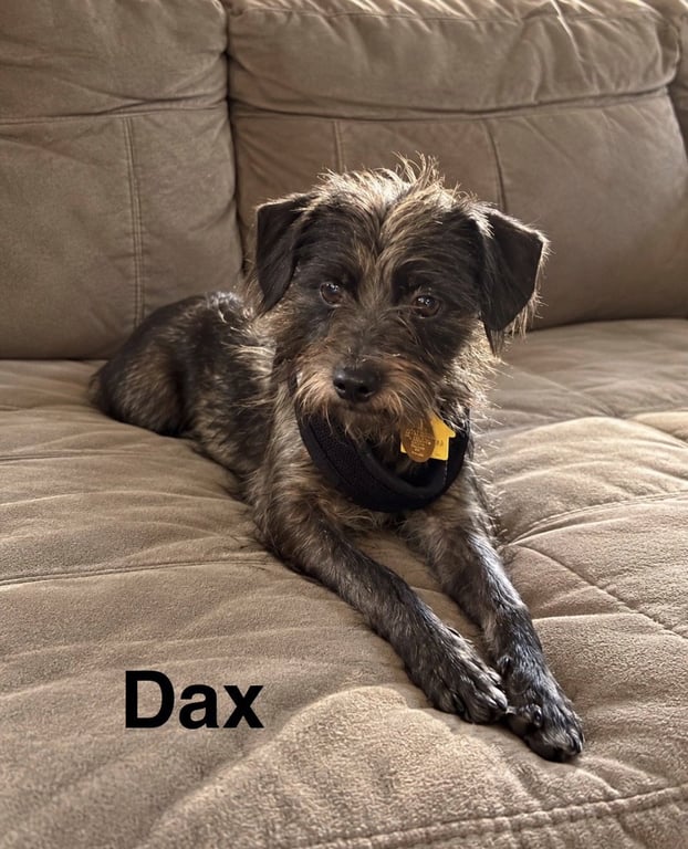 Dax Image
