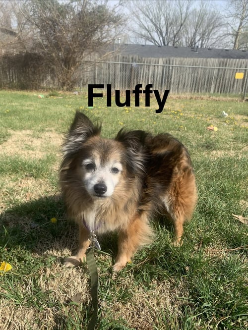 FLUFFY