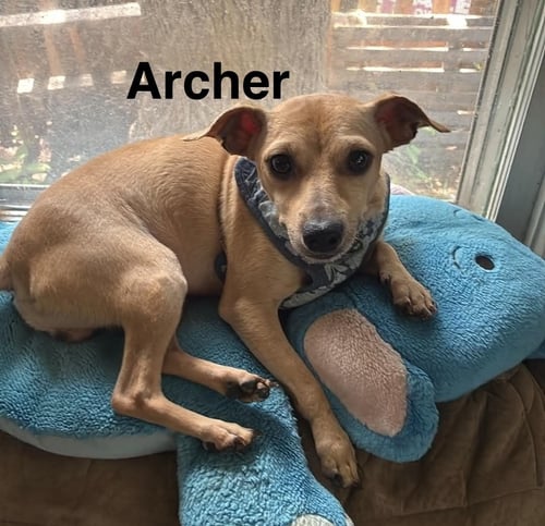 ARCHER