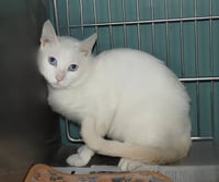 DUNCAN - Photo 1