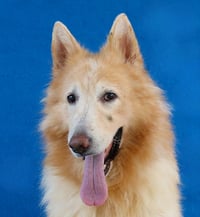KATO - Photo 1