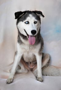 HEIDI - Photo 2