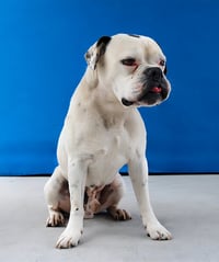 MAX - Photo 2