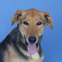 LUNA - Photo 1