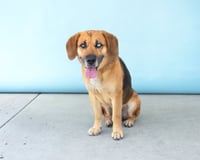 MAX - Photo 3