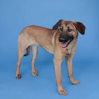 PAYTON - Photo 2