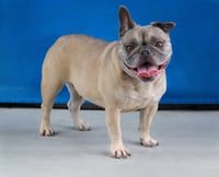 MISSY - Photo 2