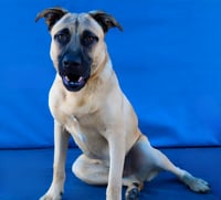 ZEUS - Photo 2