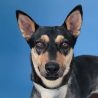 FRIDA - Photo 1