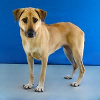 LILY - Photo 2