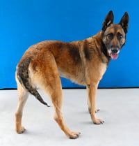 YARA - Photo 2
