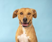QUINCY - Photo 1