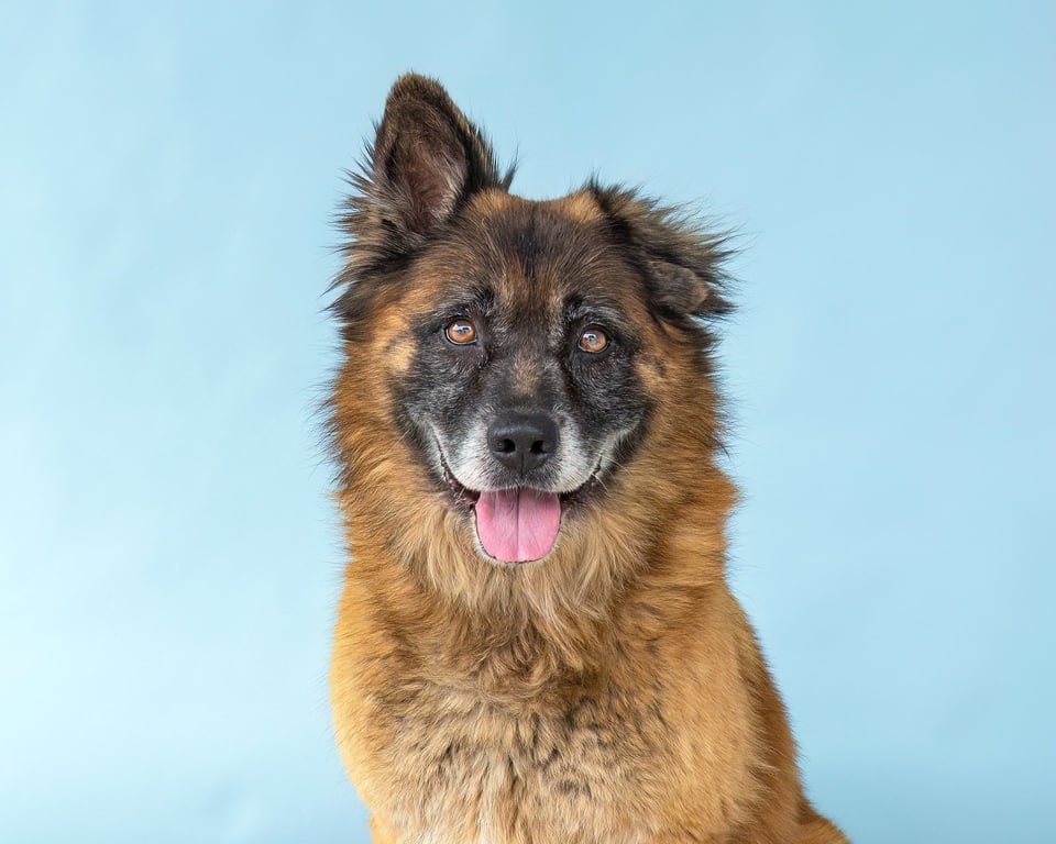 ROSCO Image