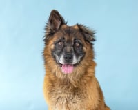 ROSCO - Photo 1