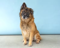ROSCO - Photo 2