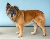 ROSCO - Photo 3