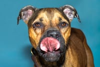 JINX - Photo 1