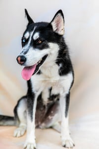 LUNA - Photo 2